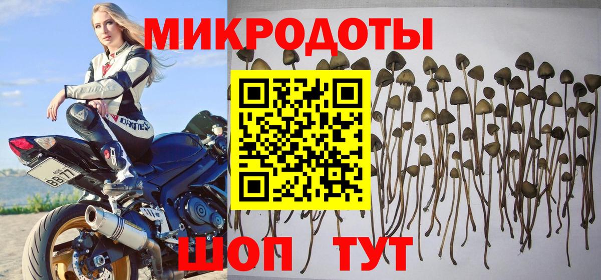 МЕФ   Марихуана  А ПВП СК   Острогожск  Вход с VPN 