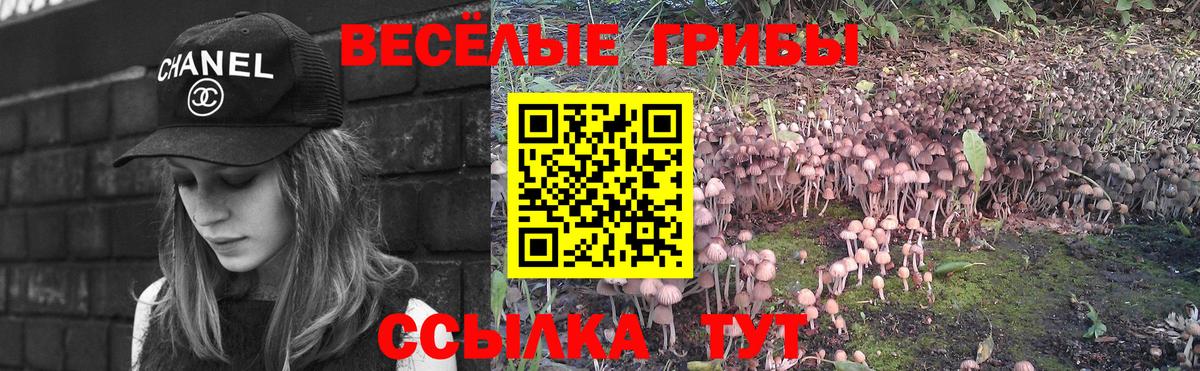 Псилоцибиновые грибы Cubensis  Вход с VPN  Острогожск 
